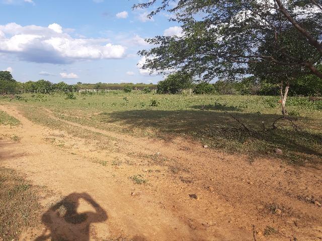 Vendo fazenda ou troco - Foto 15