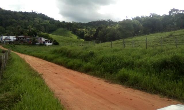 Ótima Fazenda Mista Gado e Cacau - Foto 10