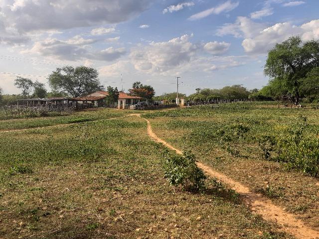 Vendo fazenda ou troco - Foto 8