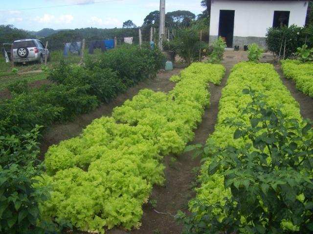 Negocio de oportunidade! Área para loteamento parceria/permuta 500.000m2 - Foto 4