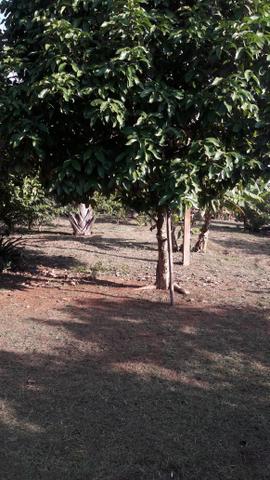 Chácara - Foto 2