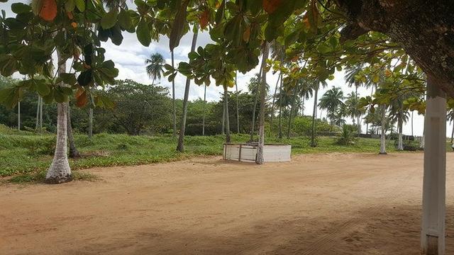 Terreno à beira mar 45x30 em guaxuma - Foto 6