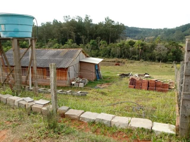 Chácara 5.000 m² - lomba grande - novo hamburgo - rs - Foto 12