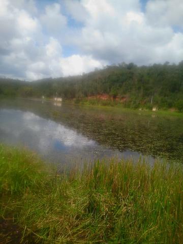 Fazenda na chapada diamantina - Foto 4