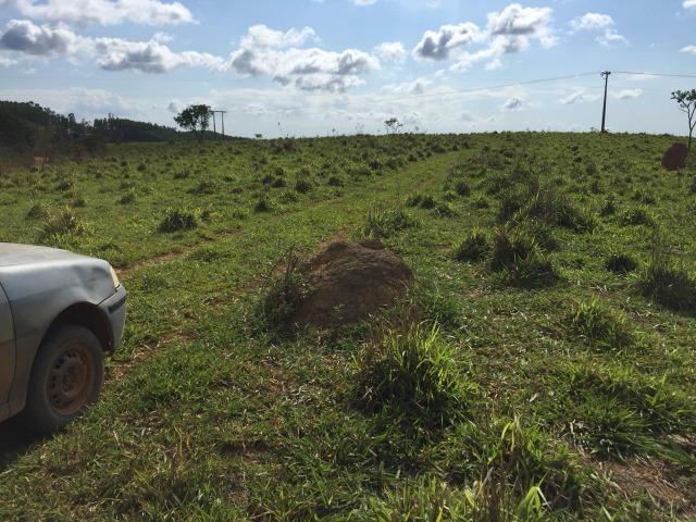 Fazenda em bambui 440 hectares 3.000.000.00 - Foto 5