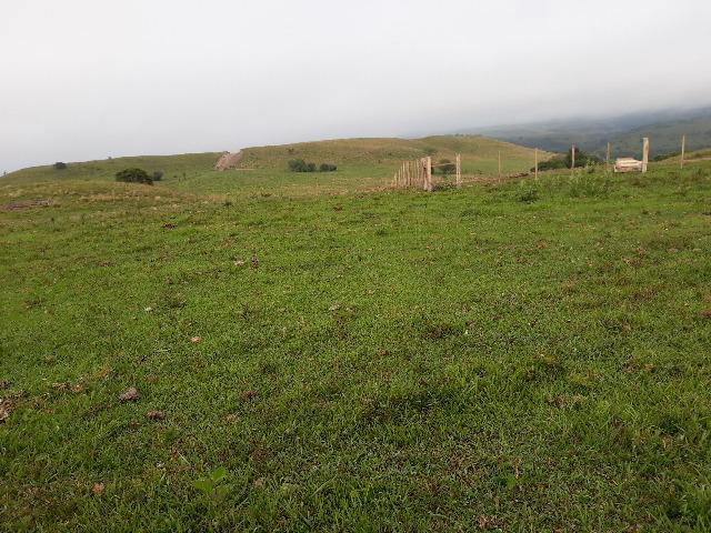 Fazenda 83,03 hs Santiago/RS - Foto 9