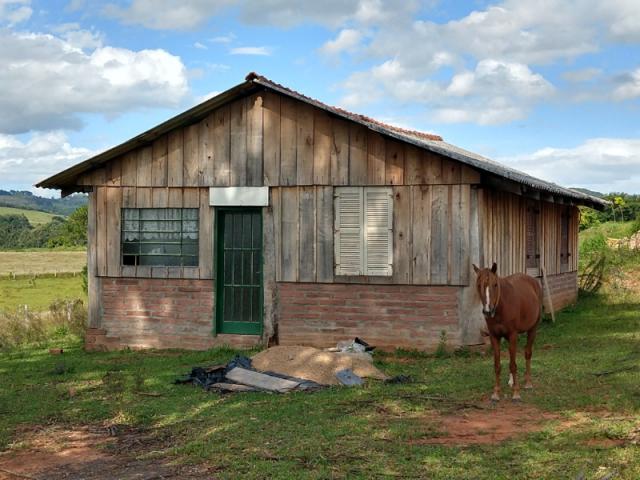 Chácara 5.000 m² - lomba grande - novo hamburgo - rs - Foto 8