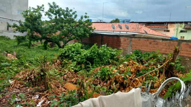Grande lote em Porto de Galinhas- Área central!! Oportunidade de investimento!! - Foto 5