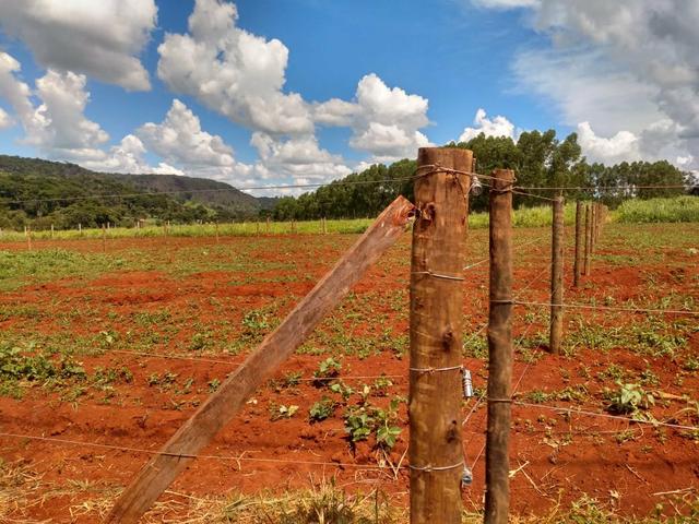 Vendo uma chácara em Bonfinópolis