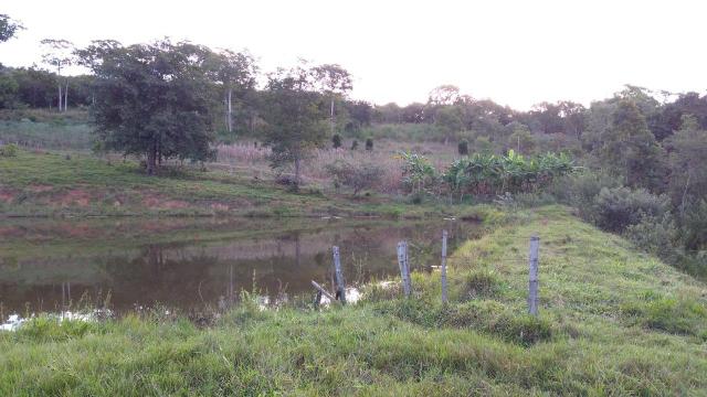Sítio Água Limpa - Foto 3
