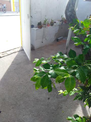 Casa para alugar em Prado Bahia!! - Foto 15