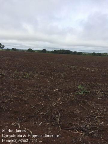 Fazenda em Mundo Novo! - Foto 8