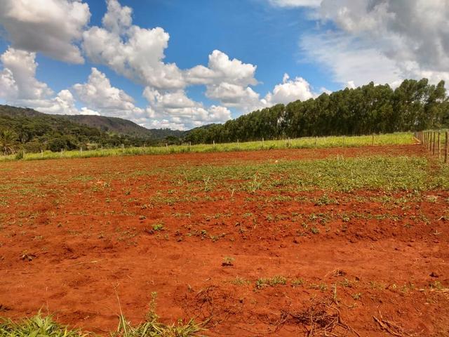 Vendo uma chácara em Bonfinópolis - Foto 4