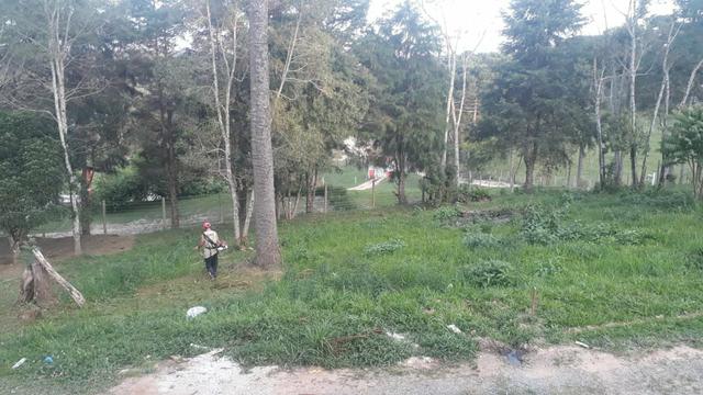 Vendo terreno em campo largo - Foto 4