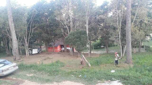 Vendo terreno em campo largo - Foto 3