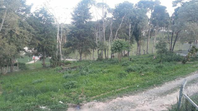 Vendo terreno em campo largo - Foto 2