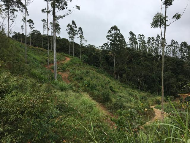 Terreno/Cachoeira - Foto 11
