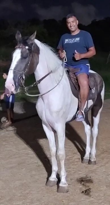 Cavalo campolina  - Foto 2