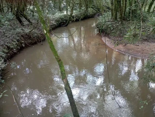Chácara em agudos do Sul  - Foto 4