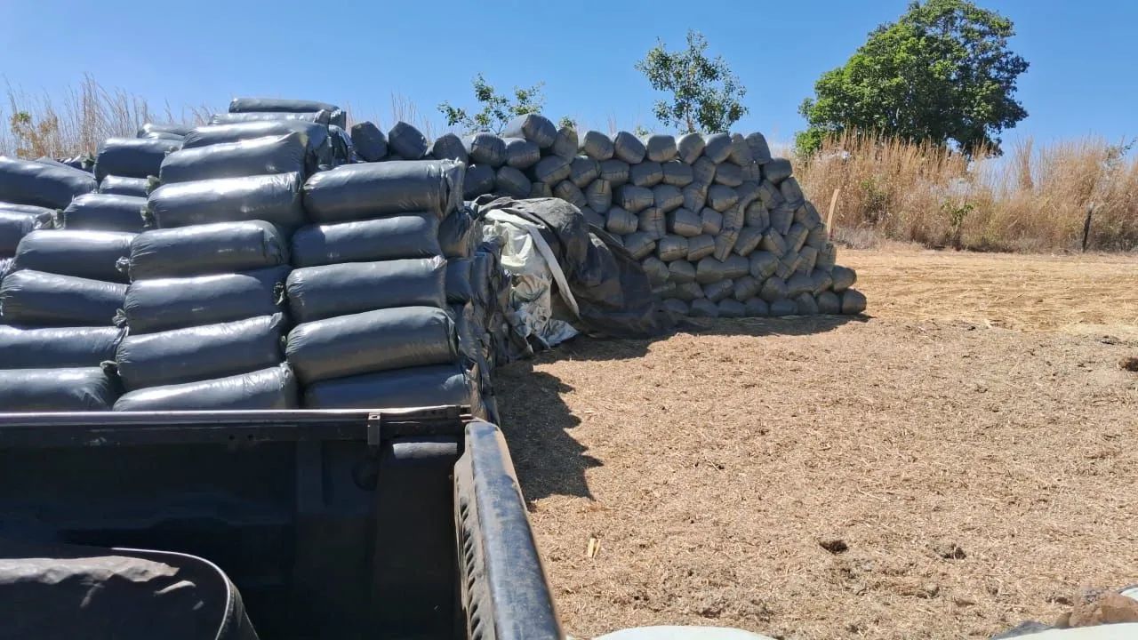 Ração Sorgo Silagem. 15 reais