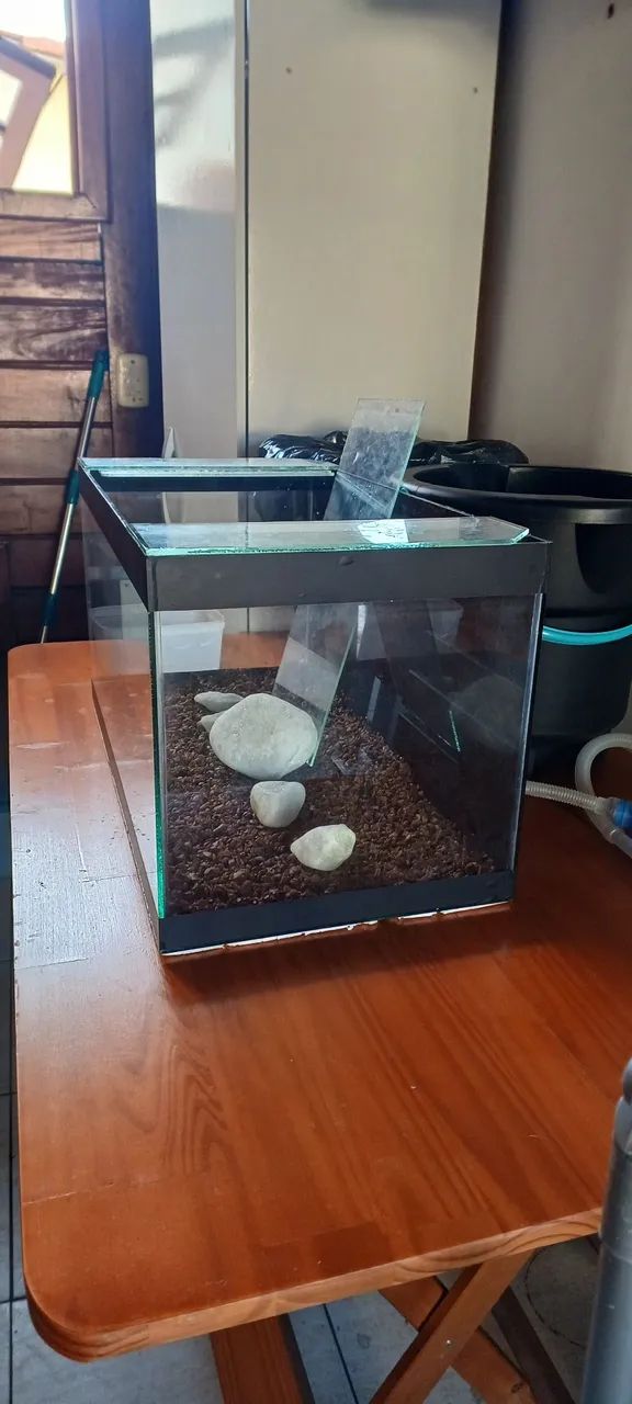 Aquário com Decoração - Foto 2