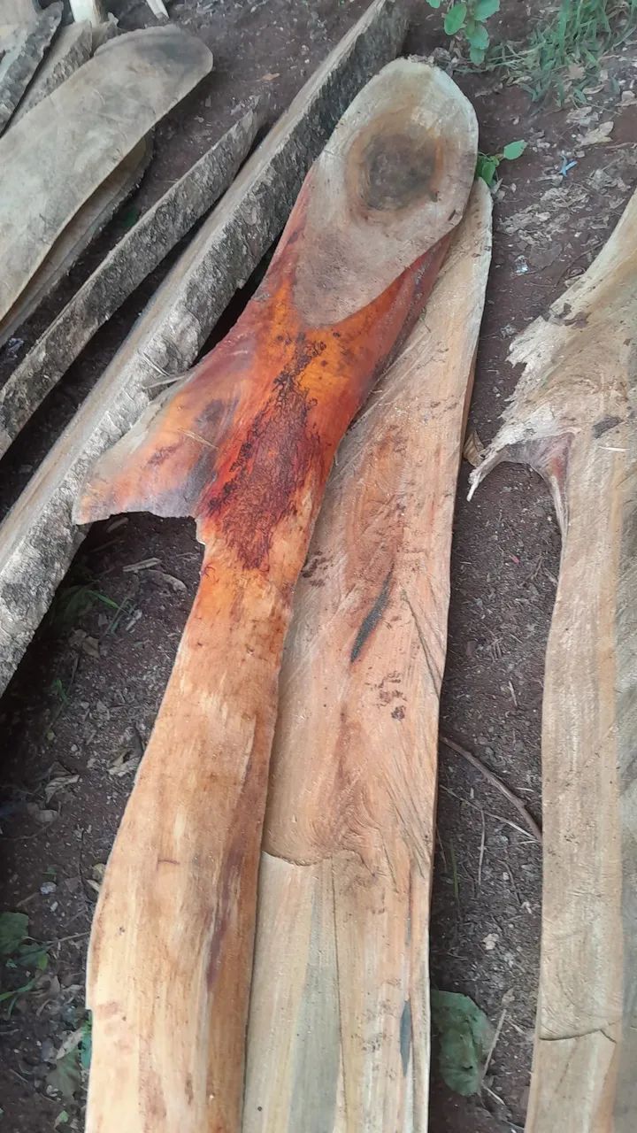 Pranchas de  YPE 64330586400515120