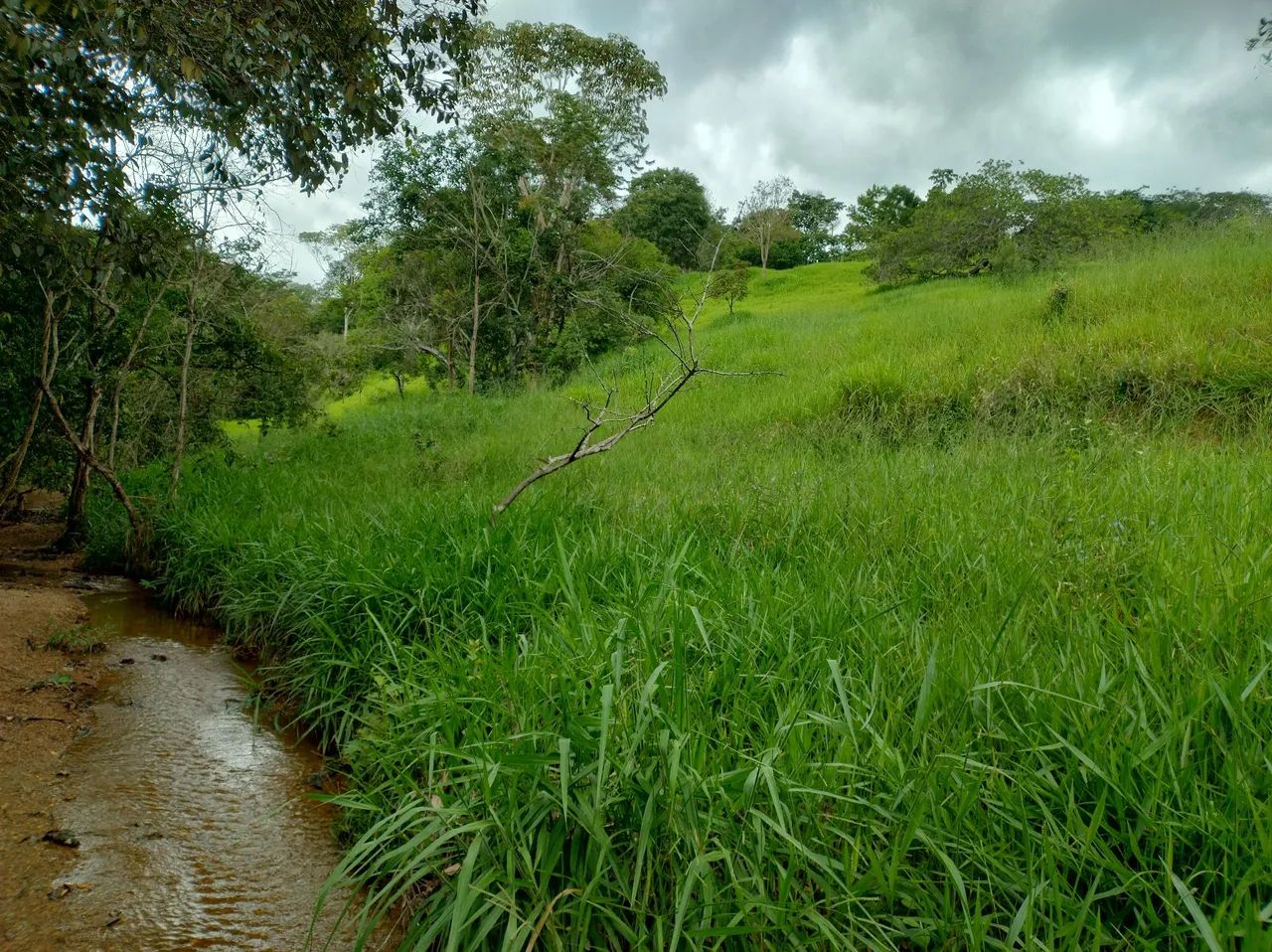 Espetacular Fazenda 42.5 hect. Município Santo Antônio à 30 km Outlet Premium - Foto 2