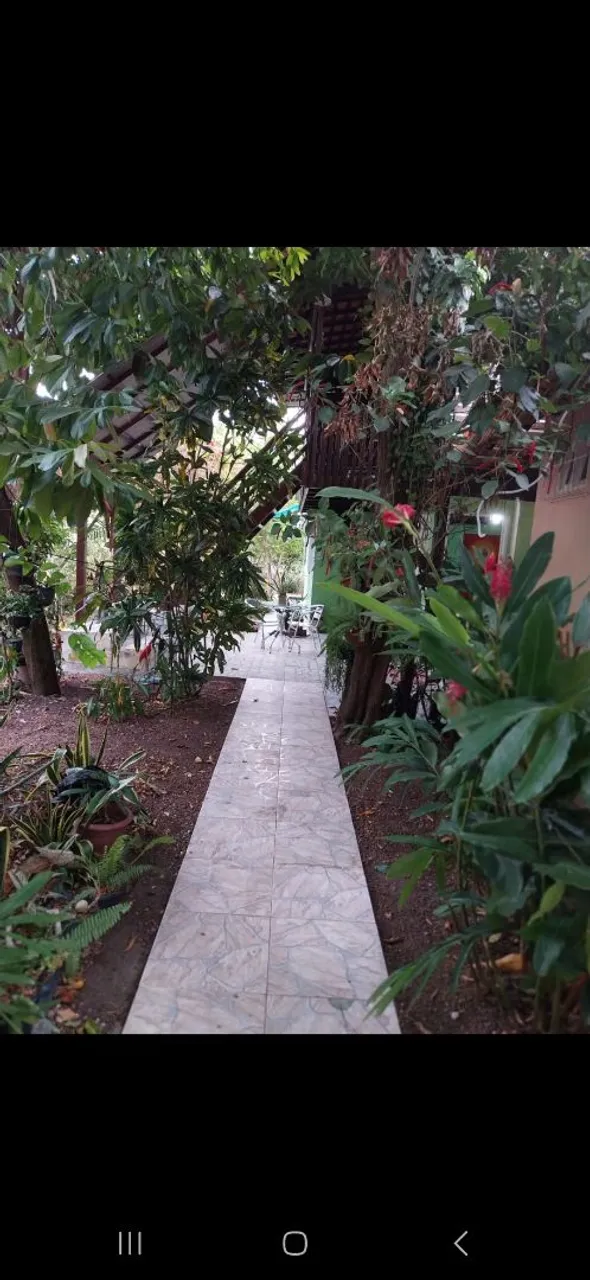 Apartamento/Conjugado para Solteiro ou 1 casal