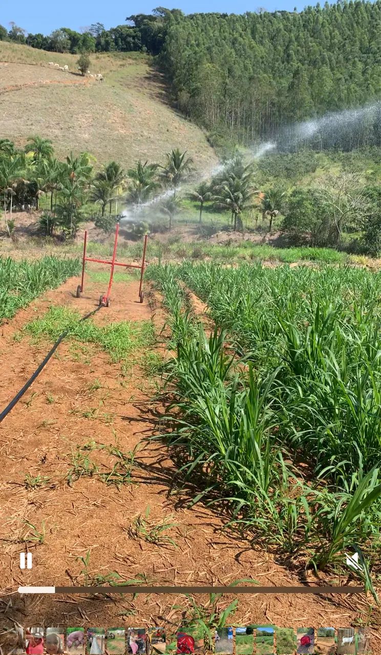 Irrigação autopropelido 