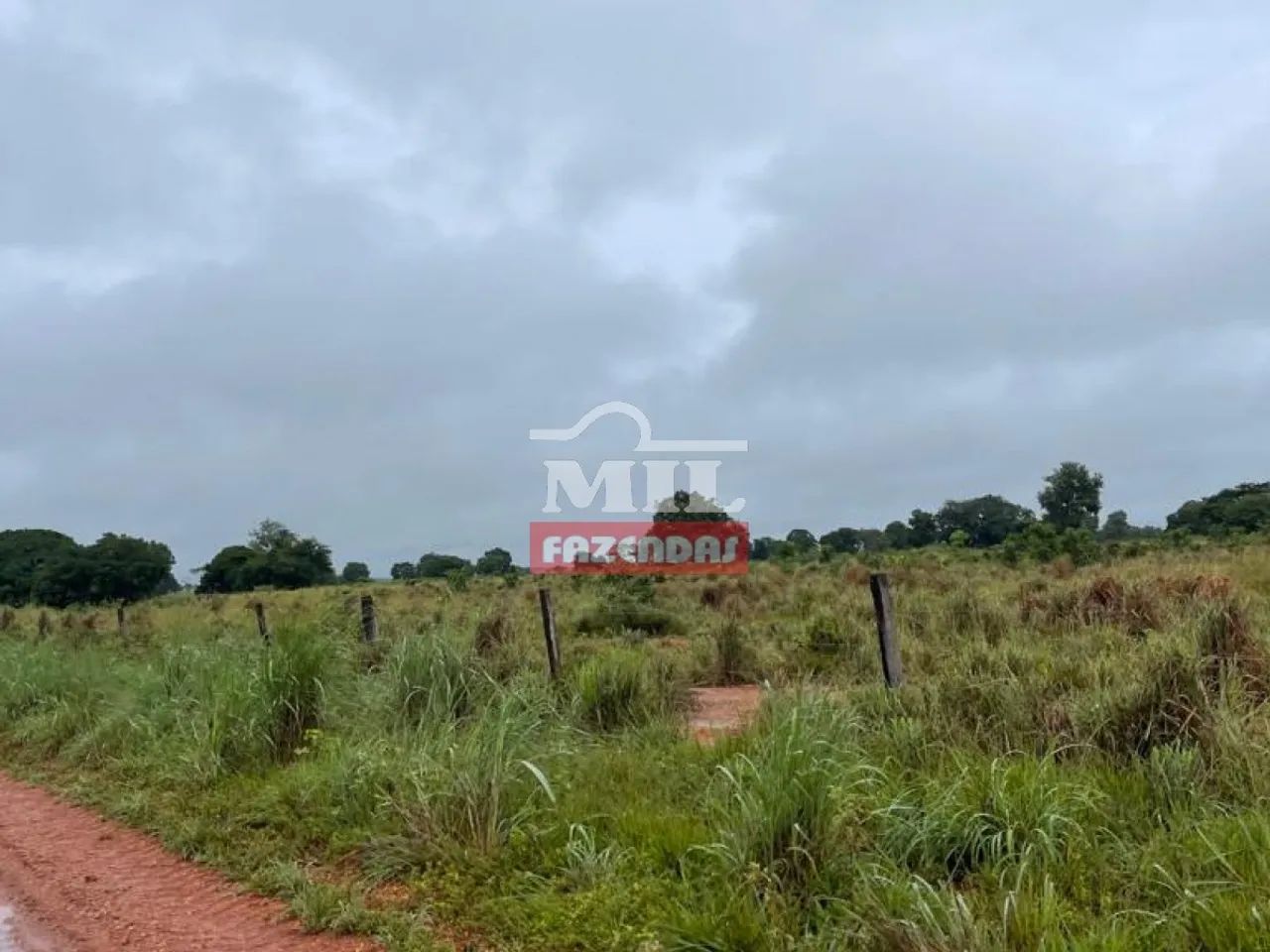 Fazenda de 785 alqueires (3800 hectares) em Cocalinho Mato Grosso - Foto 5