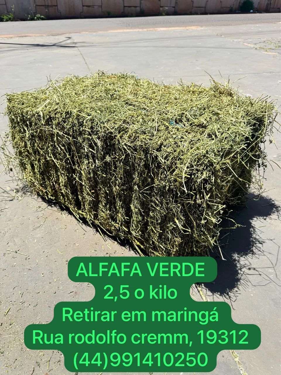 ALFAFA VERDINHA 2,5 R$ O KILO