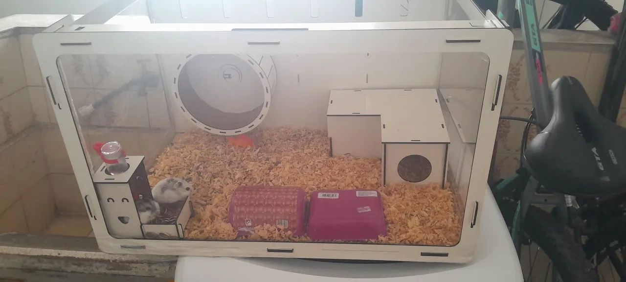Casinha e dois hamsters  - Foto 3