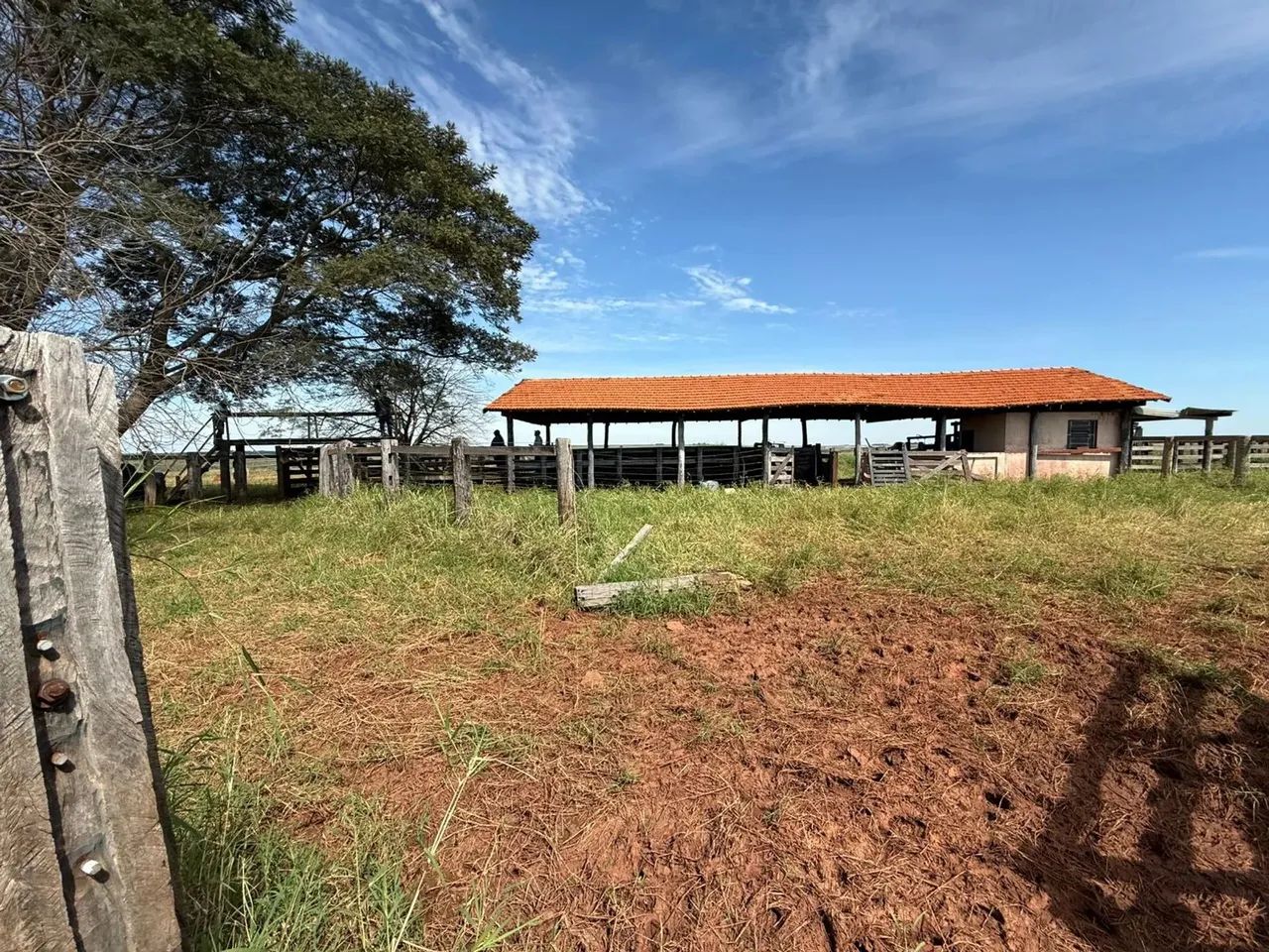 CÓD. 466  ARRENDAMENTO  FAZENDA EM CAMAPUÃ/MS (SENTIDO PARAÍSO DAS ÁGUAS) - Foto 4