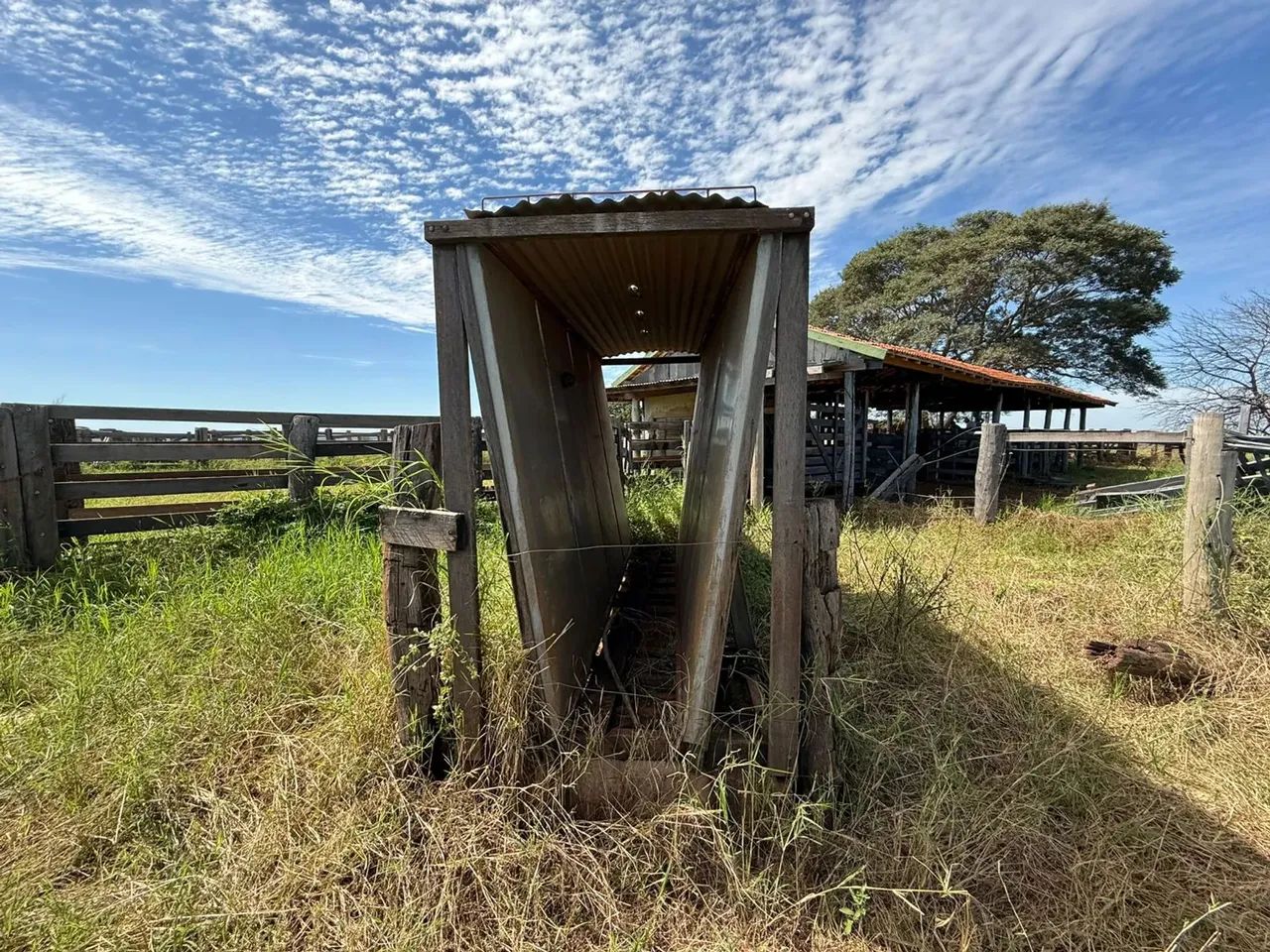 CÓD. 466  ARRENDAMENTO  FAZENDA EM CAMAPUÃ/MS (SENTIDO PARAÍSO DAS ÁGUAS) - Foto 5