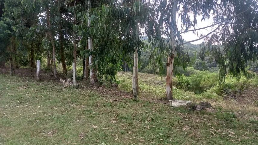 Área de terras com 5 Alqueires em Mandirituba - Foto 5