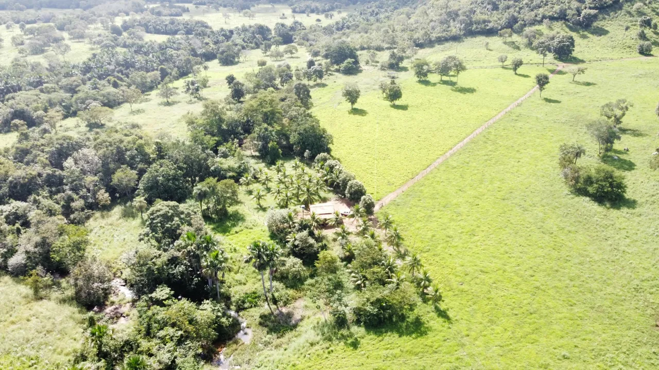 Fazenda de 60 Alqueires há 70 km de Palmas-To