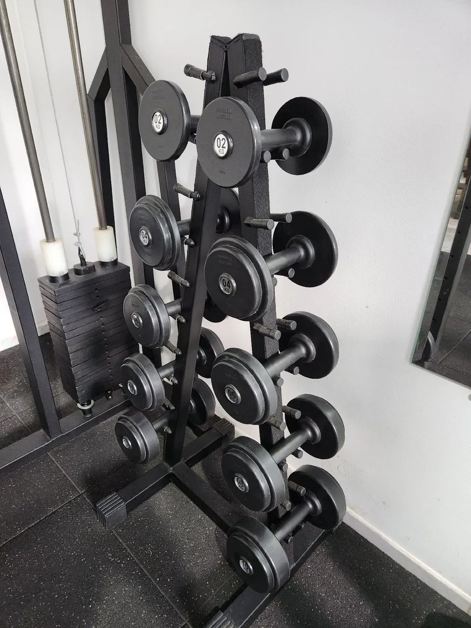 Kit de dumbells com suporte, injetados com alma de aço. 
