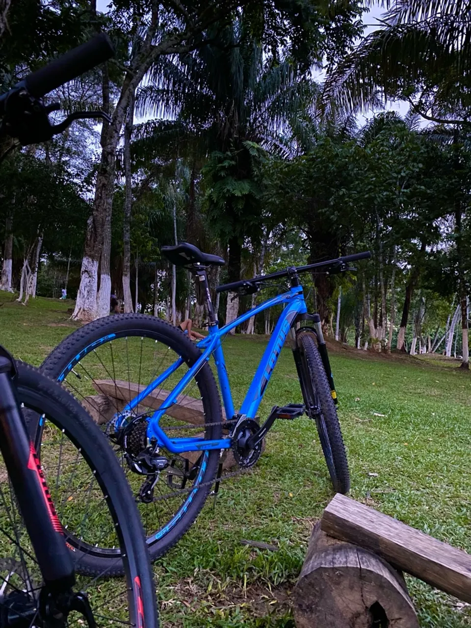 Bicicleta Lotus