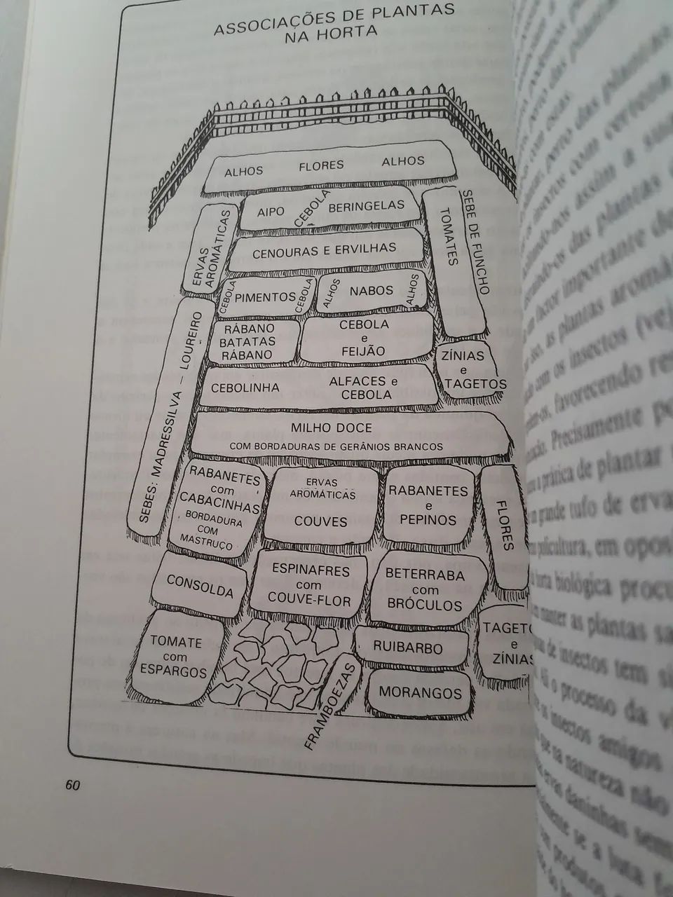 Agricultura Biológica - Foto 4