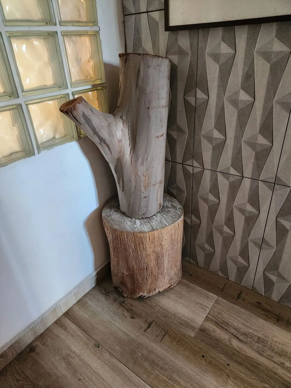 Tronco virgem Eucalipto decoração.
