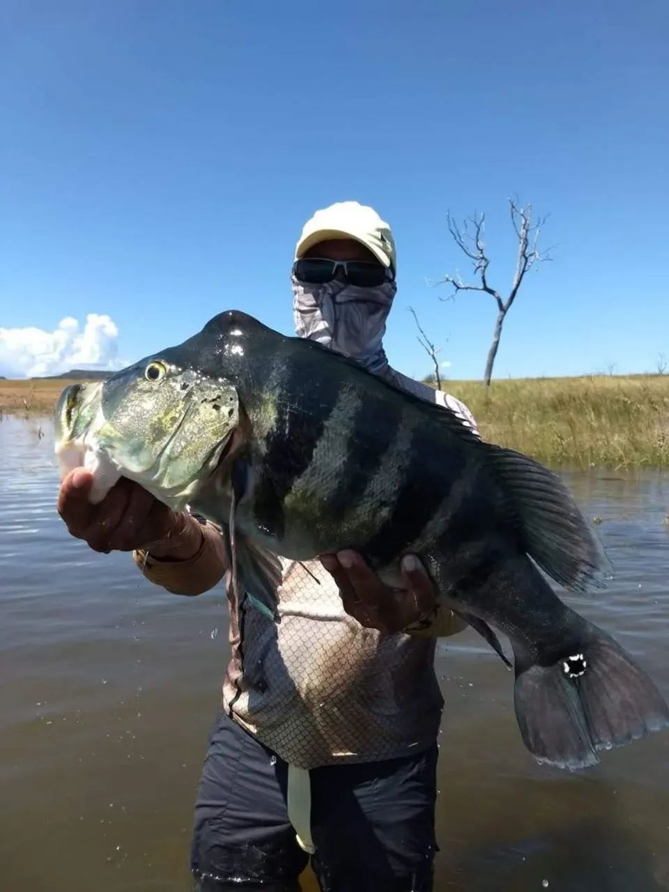 EXCELENTES LOTES NA BARRAGEM DO RIO PARANÃ  - Foto 2