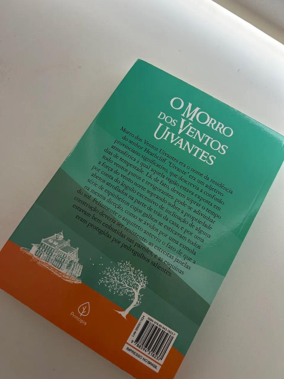 livro Morro dos Ventos Uivantes - Foto 4