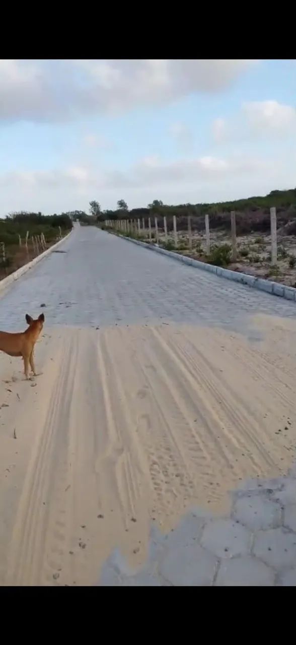 Terreno em Barreirinhas  - Foto 5