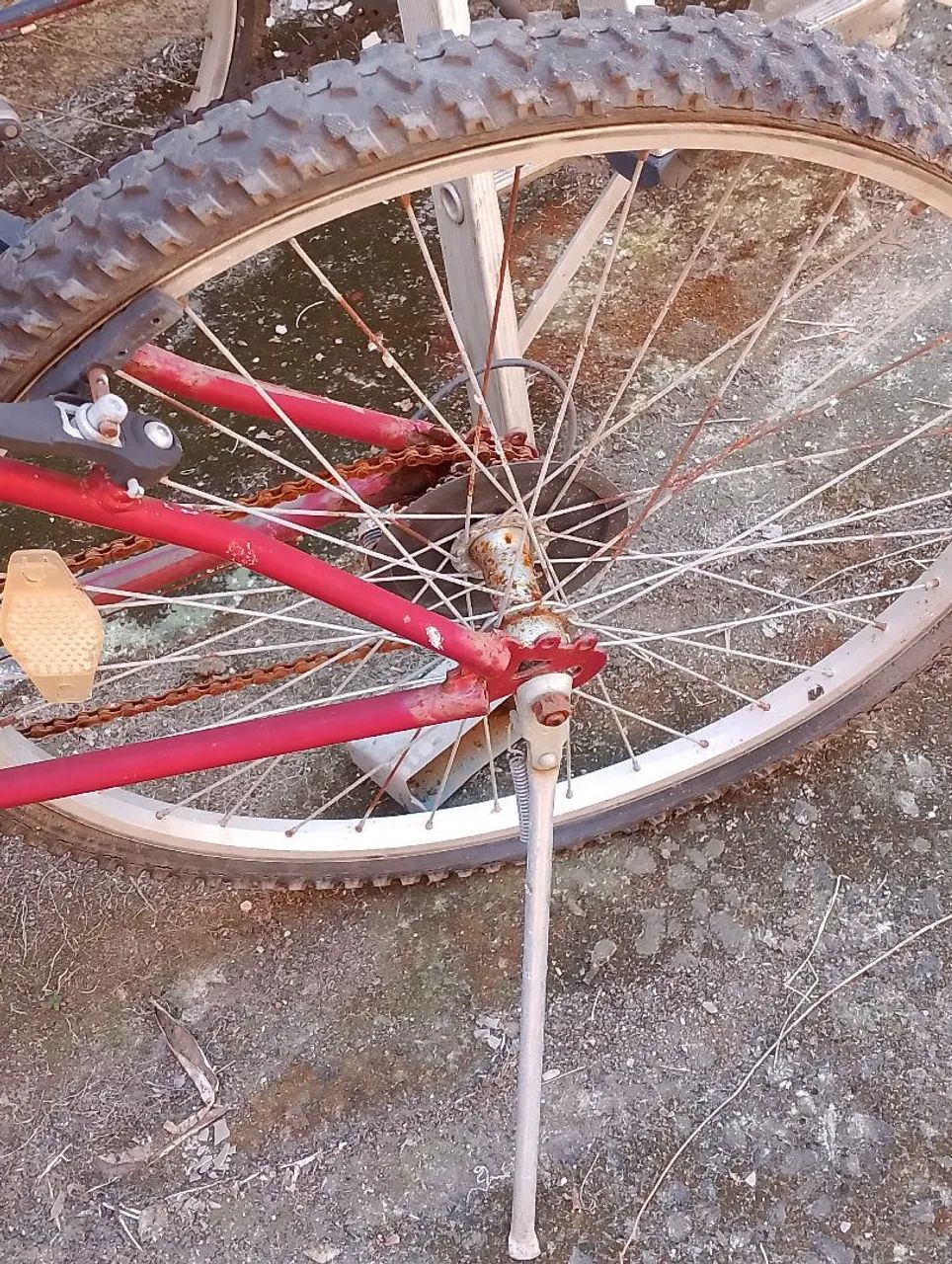 Bicicleta Feminina 