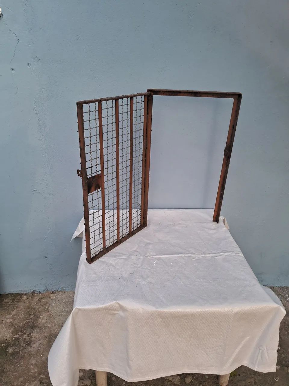 Portão de Proteção  - Foto 4