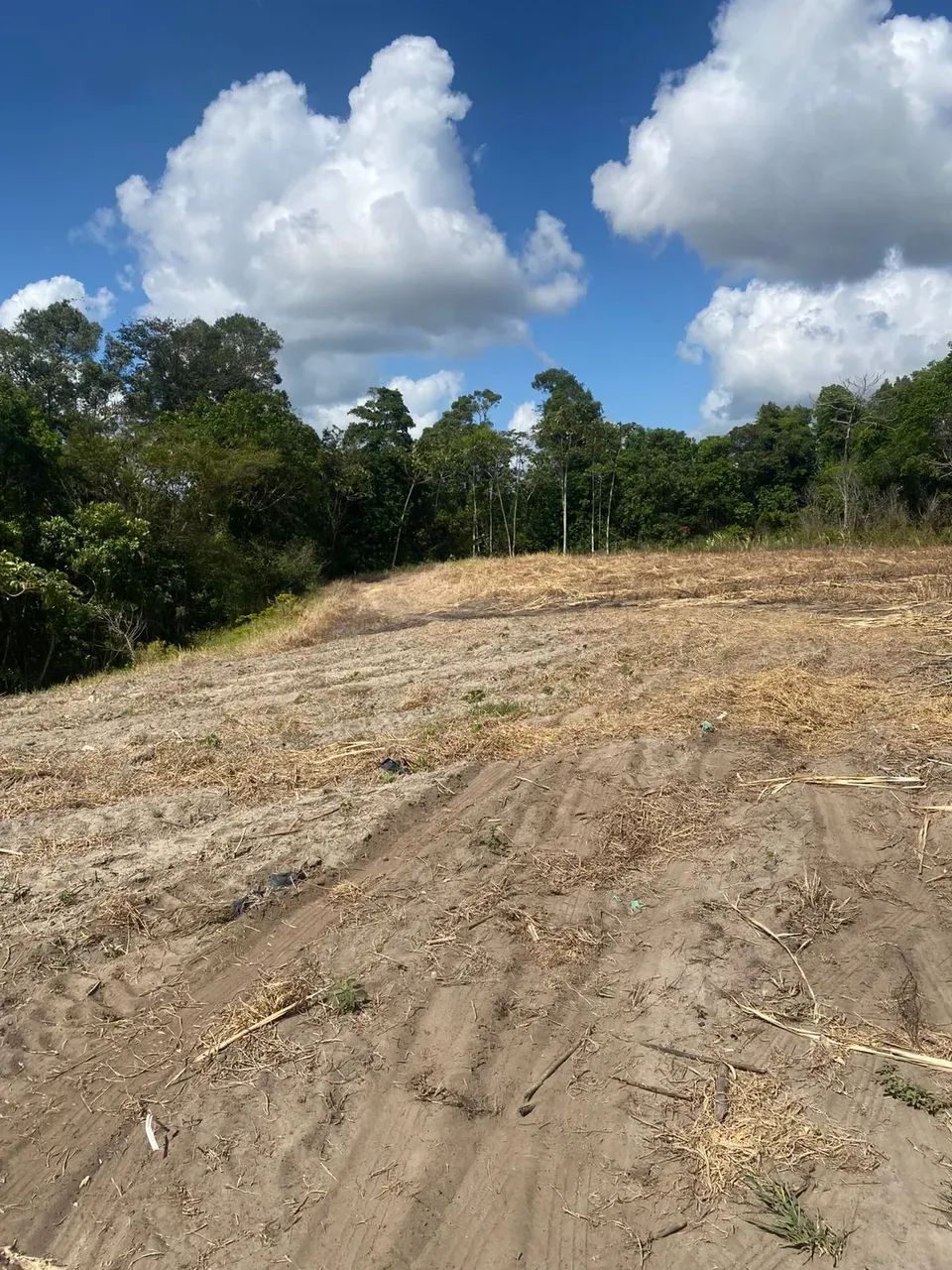 Excelente terreno Rural no Engenho Pitanga, em Igarassu, 4,5ha (123m X 366m) - Foto 9