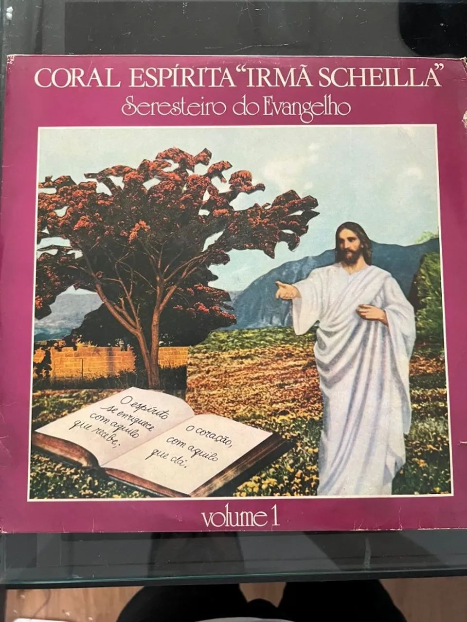 Vinil Coral Espirita Irmã Scheila 