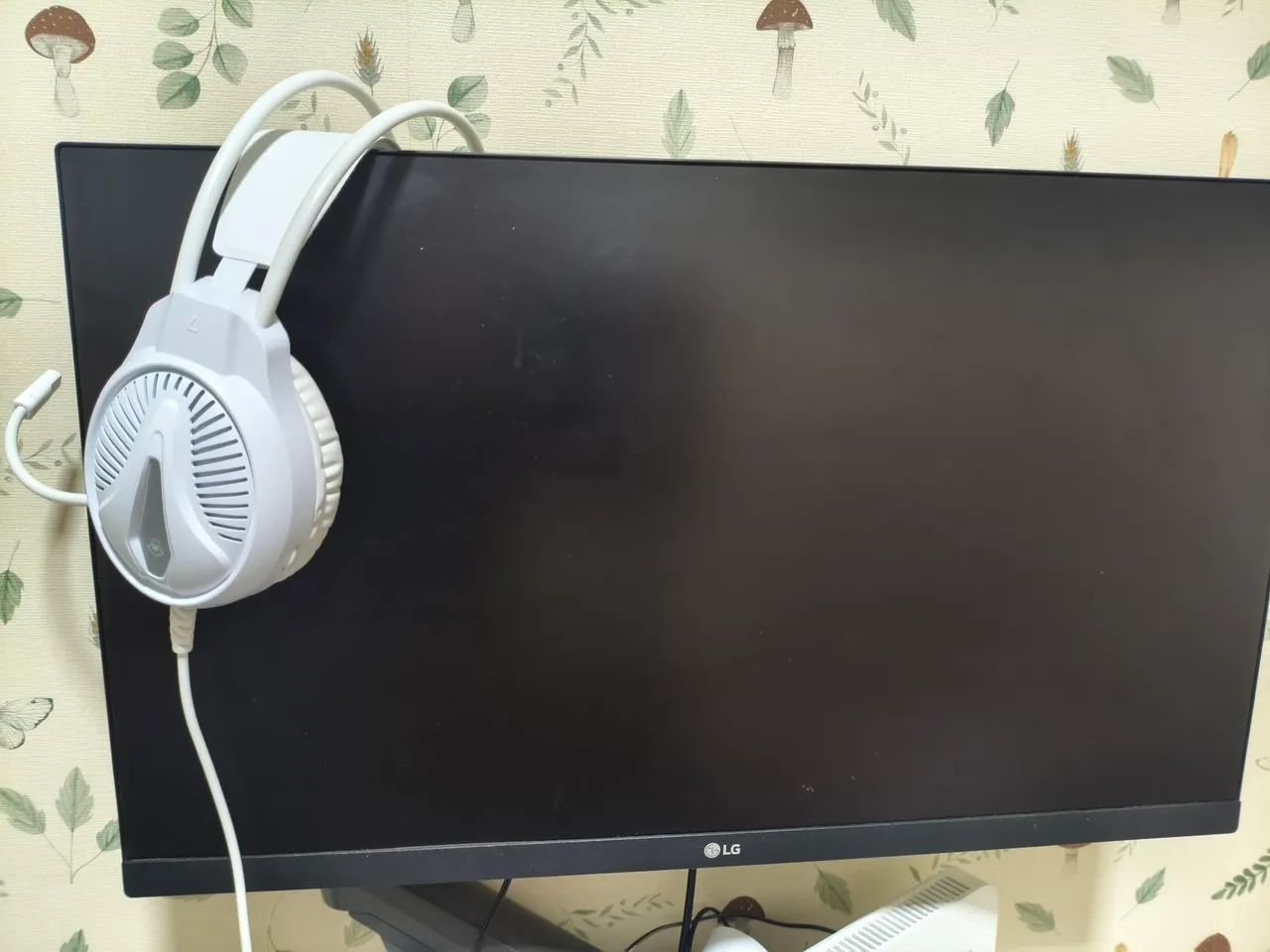 Monitor LG 24 polegadas 75hz 