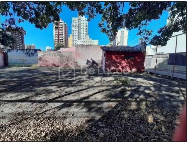 terreno - Cambuí - Campinas - Foto 3