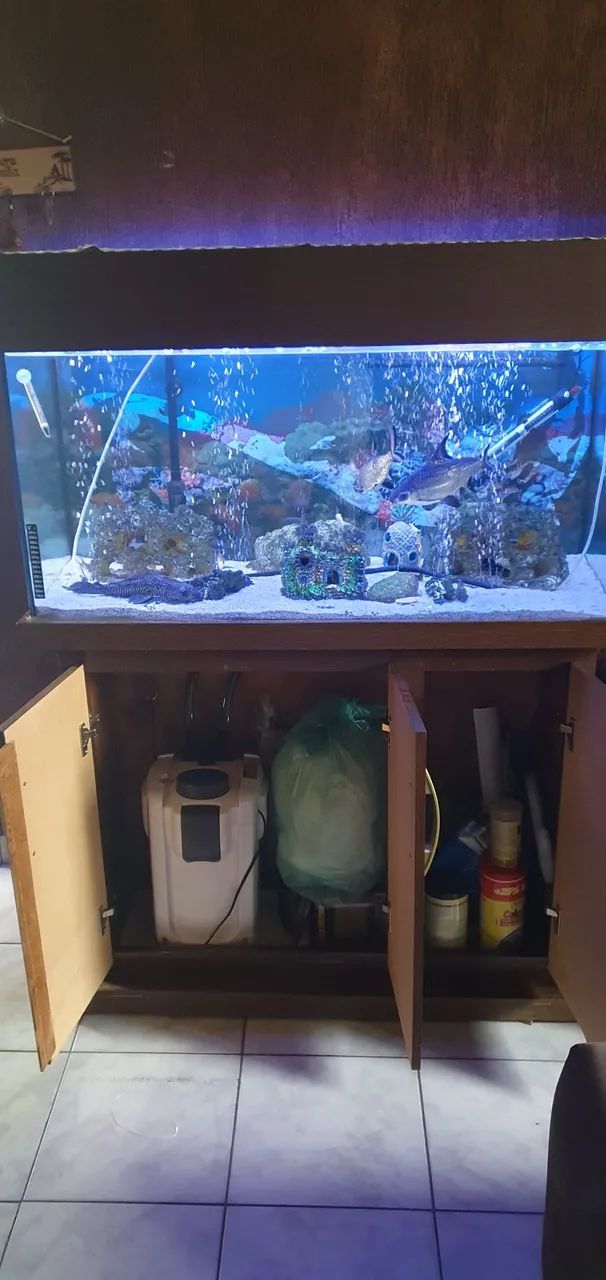 Aquario 200 litros - Foto 5